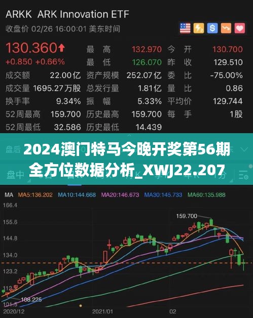 2025年澳门特马今晚|公开解释解析落实,澳门特马今晚，解析与公开解释的未来展望（2025年）