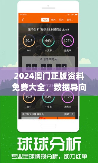 2024年新澳门夭夭好彩|精选解释解析落实,解析新澳门2024年夭夭好彩，精选策略与落实之道